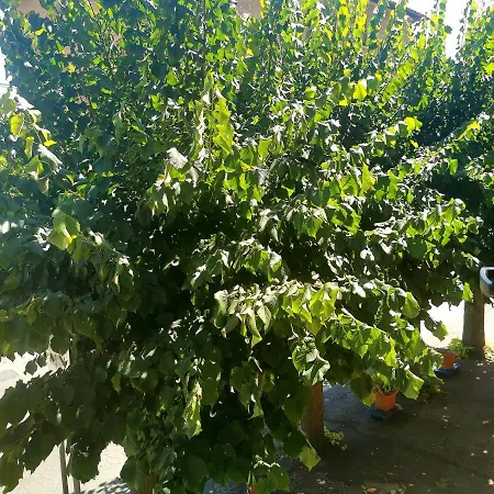 Monteluce Appartamento *