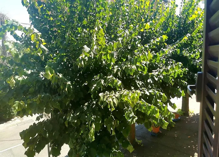 Monteluce Apartamento *